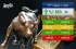 بازار طلا در صعود: قیمت اونس به 3349.36 دلار افزایش یافت