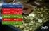 کاهش قیمت سکه و افزایش قیمت نیم سکه در بازار طلا تهران