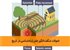 تحولات شگفت‌انگیز علم زلزله‌شناسی در تاریخ