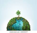  نگاه کردن به سبزه: طبیعت و روحیه نشاط