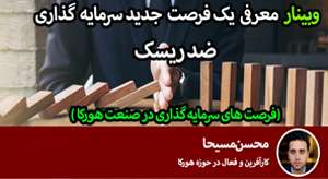 سرمایه گذاری ضد ریسک