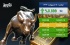«بازار طلا در مسیر صعودی: قیمت اونس به 3323.05 دلار رسید»