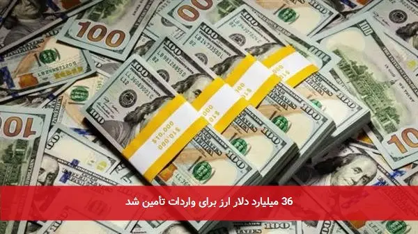 36 میلیارد دلار ارز برای واردات تأمین شد
