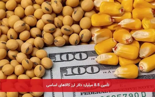تأمین 8.5 میلیارد دلار ارز کالاهای اساسی