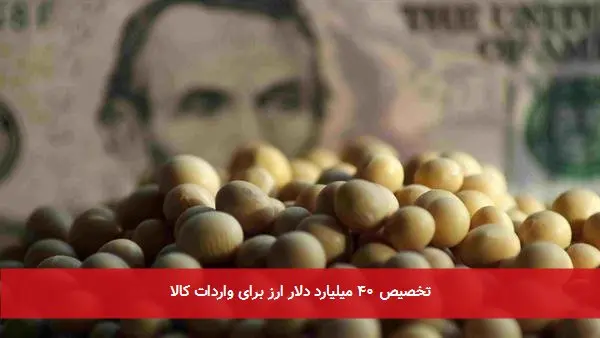 تخصیص ۴۰ میلیارد دلار ارز برای واردات کالا