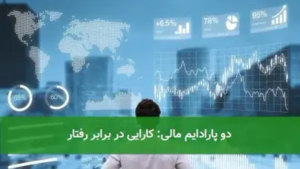 دو پارادایم مالی: کارایی در برابر رفتار
