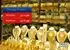 کاهش ناچیز قیمت طلای ۱۸ عیار