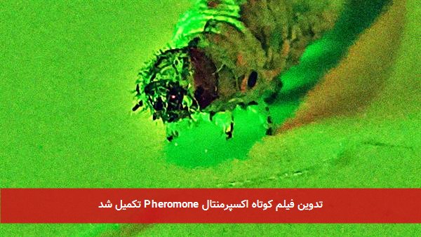 تدوین فیلم کوتاه اکسپرمنتال Pheromone تکمیل شد