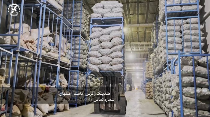 بذر مینی‌تیوبر سیب‌زمینی زاگرس