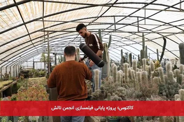 کاکتوس؛ پروژه پایانی فیلمسازی انجمن تالش
