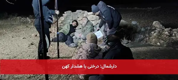 دارشمال: درختی با هشدار کهن