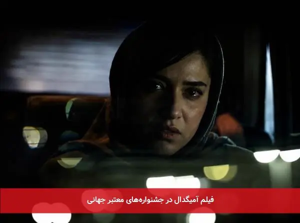 فیلم آمیگدال در جشنوارههای معتبر جهانی