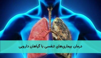 درمان بیماریهای تنفسی با گیاهان دارویی