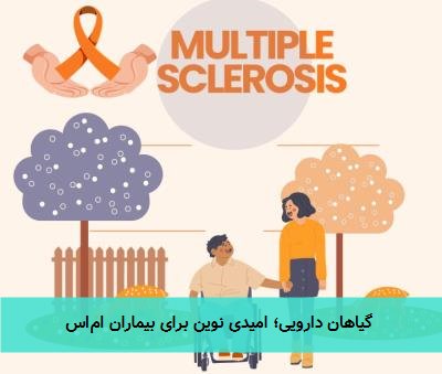  گیاهان دارویی؛ امیدی نوین برای بیماران ام‌اس 