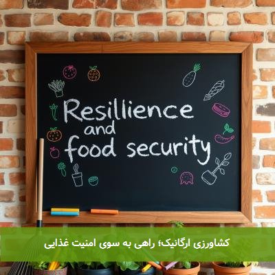 کشاورزی ارگانیک؛ راهی به سوی امنیت غذایی