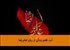 آب، طعم زندگی از زبان امام رضا