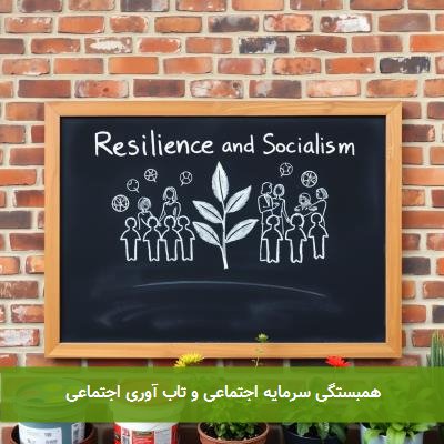همبستگی سرمایه اجتماعی و تاب آوری اجتماعی