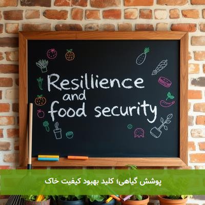 پوشش گیاهی؛ کلید بهبود کیفیت خاک