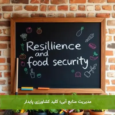 مدیریت منابع آبی؛ کلید کشاورزی پایدار