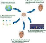  تحقیقات و شواهد مرتبط با آموزش تاب‌آوری