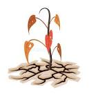  تأثیر زمین‌لرزه بر پوشش گیاهی