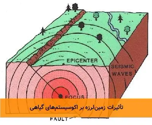 تأثیرات زمین‌لرزه بر اکوسیستم‌های گیاهی
