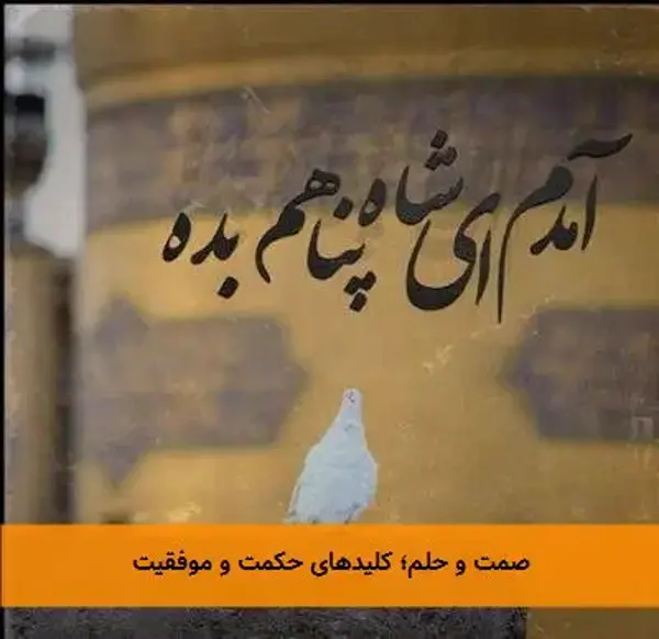 صمت و حلم؛ کلیدهای حکمت و موفقیت