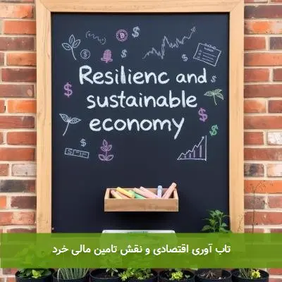 تاب آوری اقتصادی و نقش تامین مالی خرد