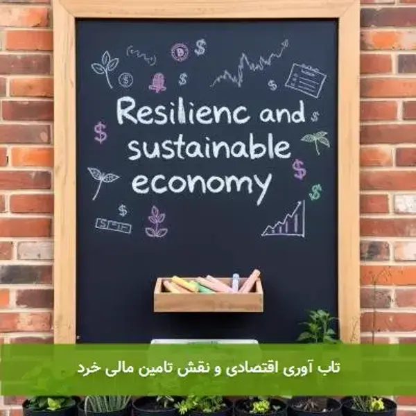 تاب آوری اقتصادی و نقش تامین مالی خرد