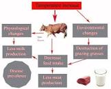  ۲. شبیه‌سازی اثرات تغییرات اقلیمی بر گیاهان و جانوران