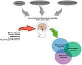  2. عواملی که بر انعطاف‌پذیری و تاب‌آوری تأثیر می‌گذارند