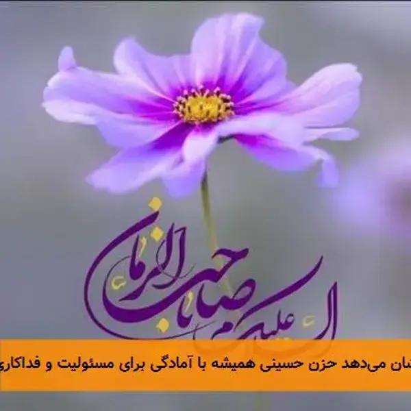 این تحلیل زیبا و عمیق از حدیث امام مهدی(عج) درباره حضرت زکریا(ع) و نام‌های پنج تن، گویای درک صحیحی از  ...