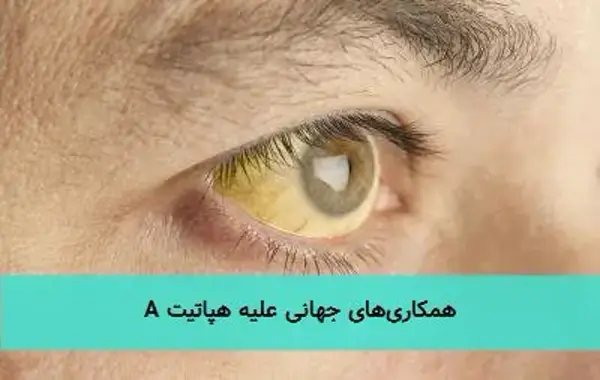 همکاریهای جهانی علیه هپاتیت A همکاریهای جهانی علیه هپاتیت A