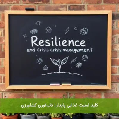 کلید امنیت غذایی پایدار: تابآوری کشاورزی
