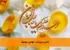 امان زمینیان، مهدی موعود