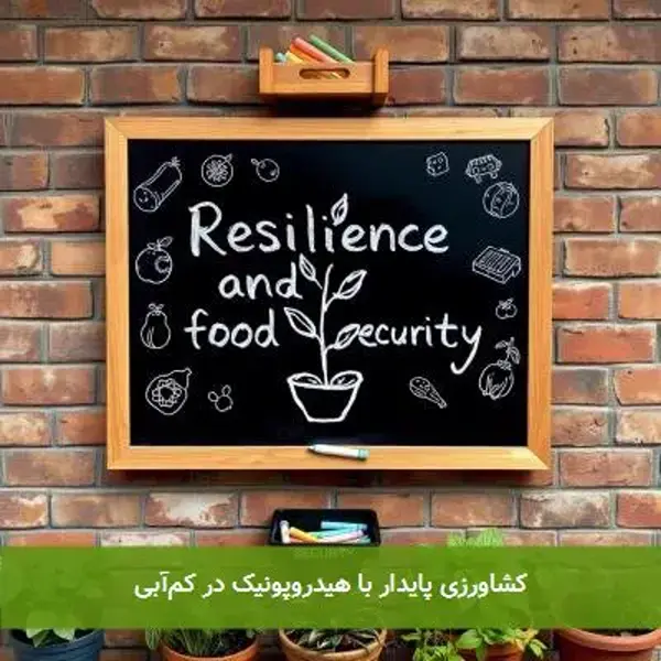 کشاورزی پایدار با هیدروپونیک در کم‌آبی