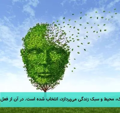کلیدهای معمای آلزایمر (این تیتر بر اساس درخواست شما و با توجه به محتوای متن که به تحلیل ژنتیک، محیط و سبک زندگی میپردازد، انتخاب شده است. در آن از فعل استفاده نشده و بر عناصر کلیدی و اسرارآمیز بودن این بیماری که نیاز به کشف دارد، تأکید شده است.)