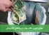 معادن شهری: طلای پنهان در زباله‌های الکترونیکی